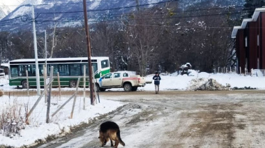 Labraron 20 actas por infracciones a la normativa sobre tenencia responsable y capturó dos canes