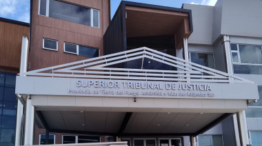 El Superior Tribunal de Justicia ordenó liberar al sujeto que asesinó a su esposa embarazada