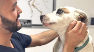 Refuerzan la prevención de la rabia con vacunación gratuita para perros y gatos