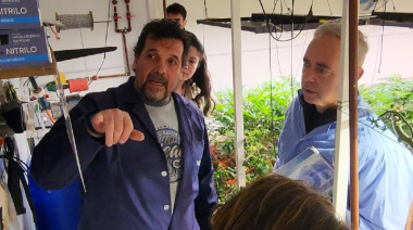 Destacan el nivel técnico y el potencial del cultivo fueguino de cannabis medicinal