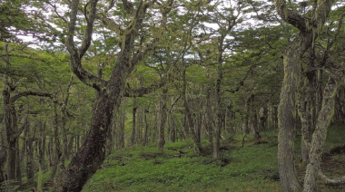 Ya está disponible el primer capítulo de la Guía de Flora de las Áreas Naturales Protegidas