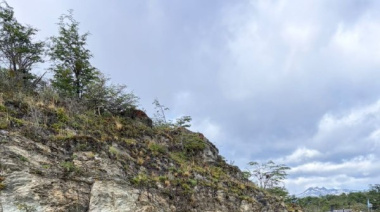 Tareas de chipeado y control de equinos en el parque nacional Tierra del Fuego