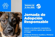 Habrá una jornada de adopción responsable en la “Semana de la Voz” del CENT N° 11