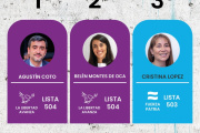 La Libertad Avanza se impuso en Tierra del Fuego y se quedó con dos senadores y un diputado