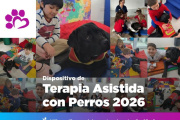 Se abrió la preinscripción para el Dispositivo de Terapia Asistida con Perros 2026