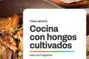 Una invitación a descubrir el mundo Fungi y su valor en la producción local