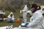 Se concluyeron el operativo de vigilancia por hantavirus en Ushuaia