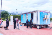 Se brinda recomendaciones para prevenir gastroenteritis en caninos