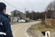Se labró 21 actas por infracciones a la normativa sobre tenencia responsable y capturó dos canes en Andorra