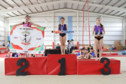 La Gimnasia Artística tuvo su final provincial en Río Grande