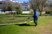 Tareas de mantenimiento en los espacios verdes de la ciudad