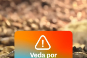 Establecen la veda de moluscos en sectores del Canal Beagle y toda la Costa Atlántica Provincial