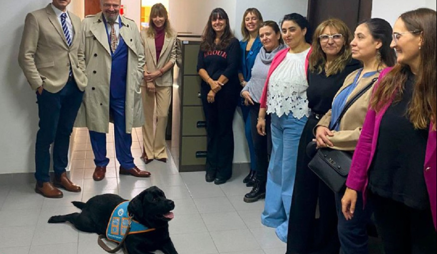 Justicia de Familia en Ushuaia proyecta sumar perros de asistencia