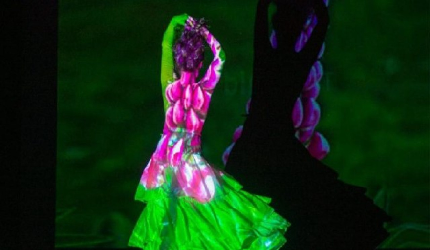 Se impulsa el taller de danza “Habitar el Cuerpo”