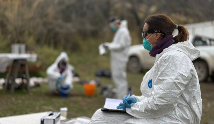 Se concluyeron el operativo de vigilancia por hantavirus en Ushuaia